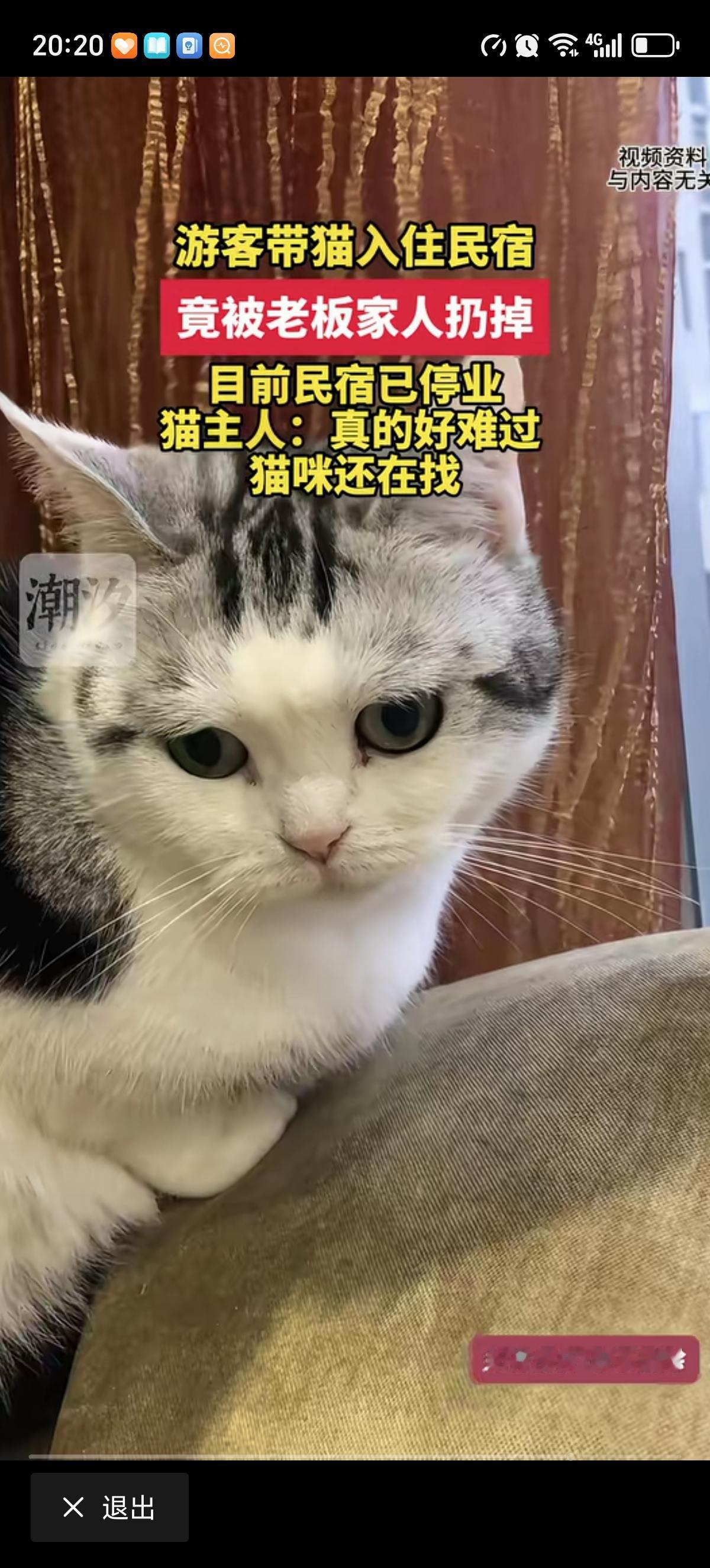 游客带着自家猫咪住进了宠物友好民宿，店老板73岁的母亲却趁着游客不在房间内，私自