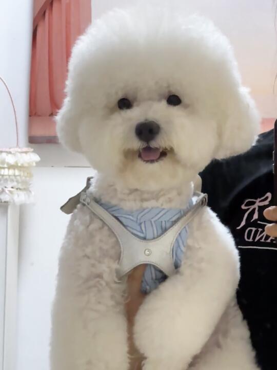 晚上好😄