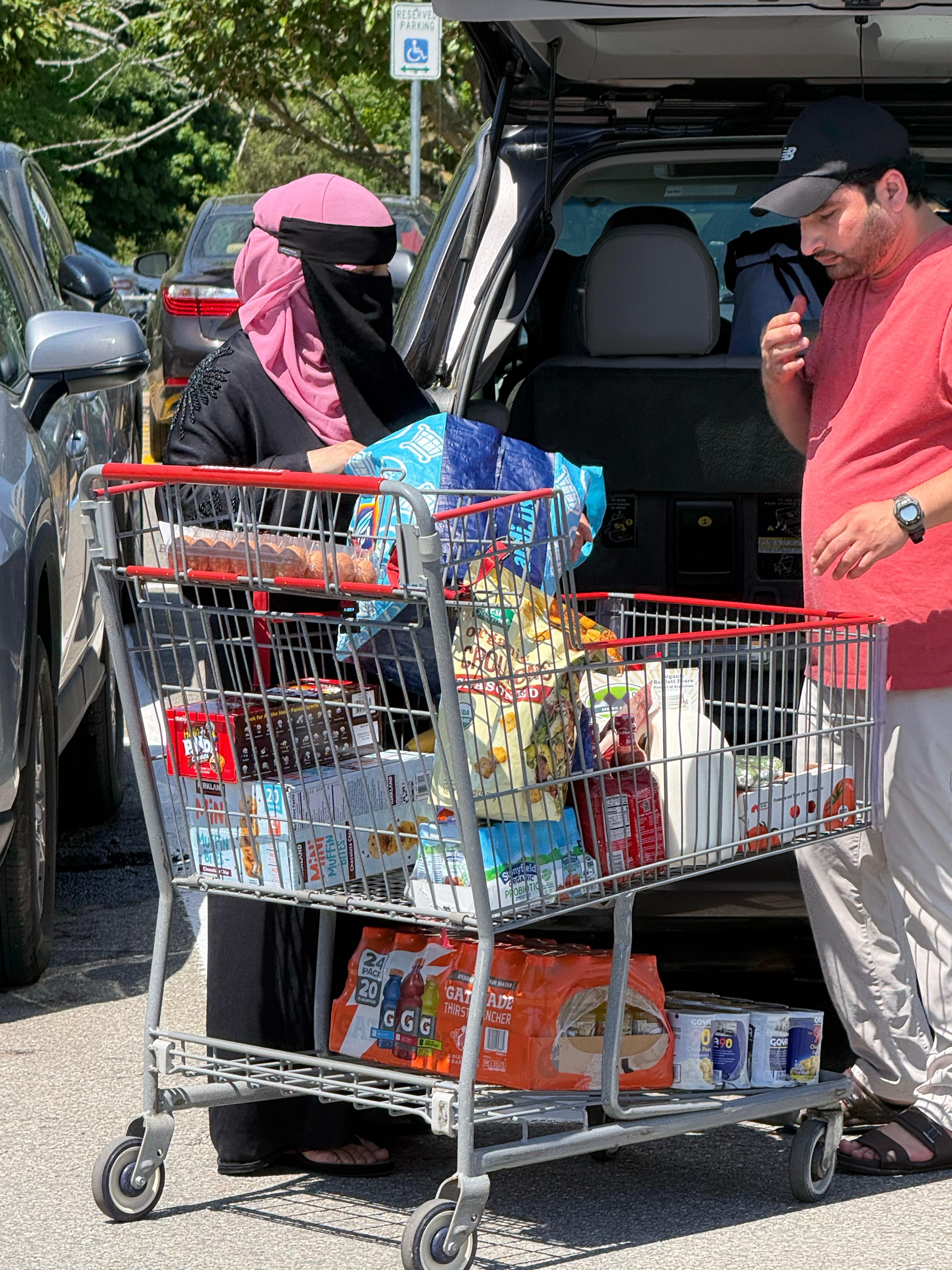 十几年没有去过Costco，今天决定去看看。一到Costco门口，就看到了这对“