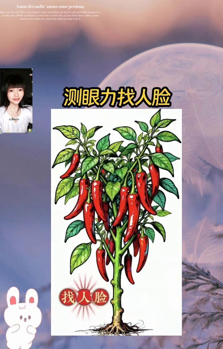 测眼力找人脸。辣椒里藏四张人脸，刚盯着这颗辣椒树瞅了十分钟，眼睛都快瞪酸了，才