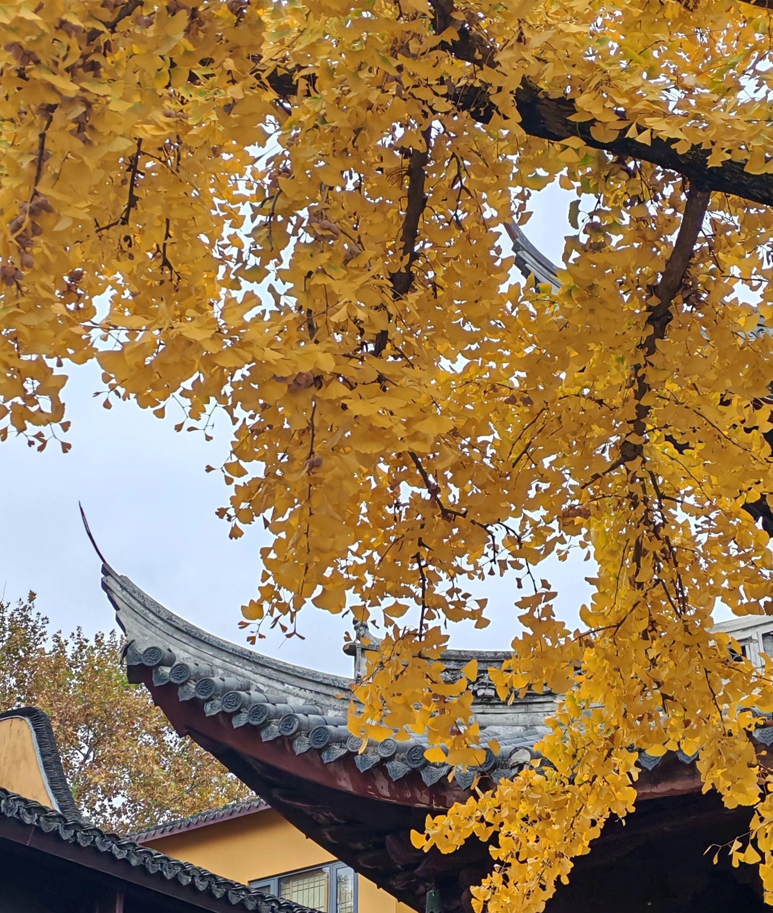 靖康元年，公元1126年，金军围攻汴京。在金军淫威之下，宋被迫议和，但是金人提出