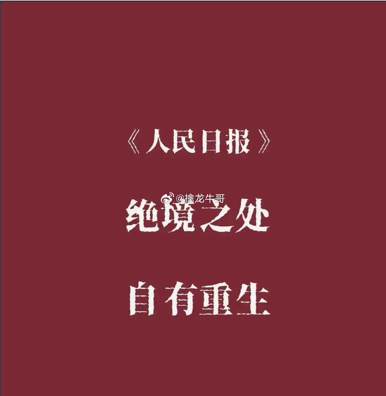 谨慎中前行！萝卜、盛科通信、康龙化成、凯莱英、药明康德、百济神州、行云科技、中船