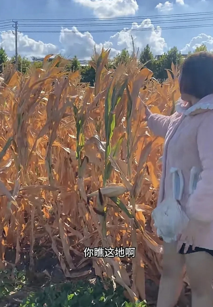 河南今年的干旱有多么严重，有老人说这事要是发生在过去，河南人早就收拾收拾东西去外