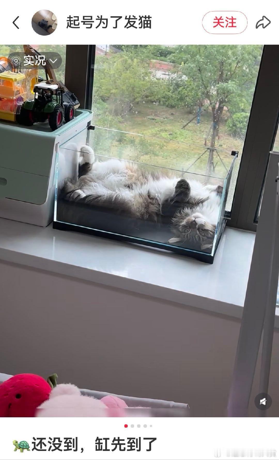 抢占先机