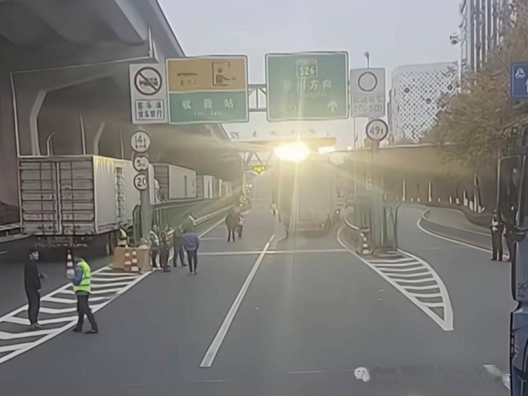 上海超宽车厢一律不给上高速了近日，有网传消息称，沪常高速所有高速口，超宽车厢