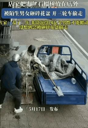 胆子真大！店家在门口养了一盆石榴花，养在那里几年了，平时宝贝的不行，有事没事就爱