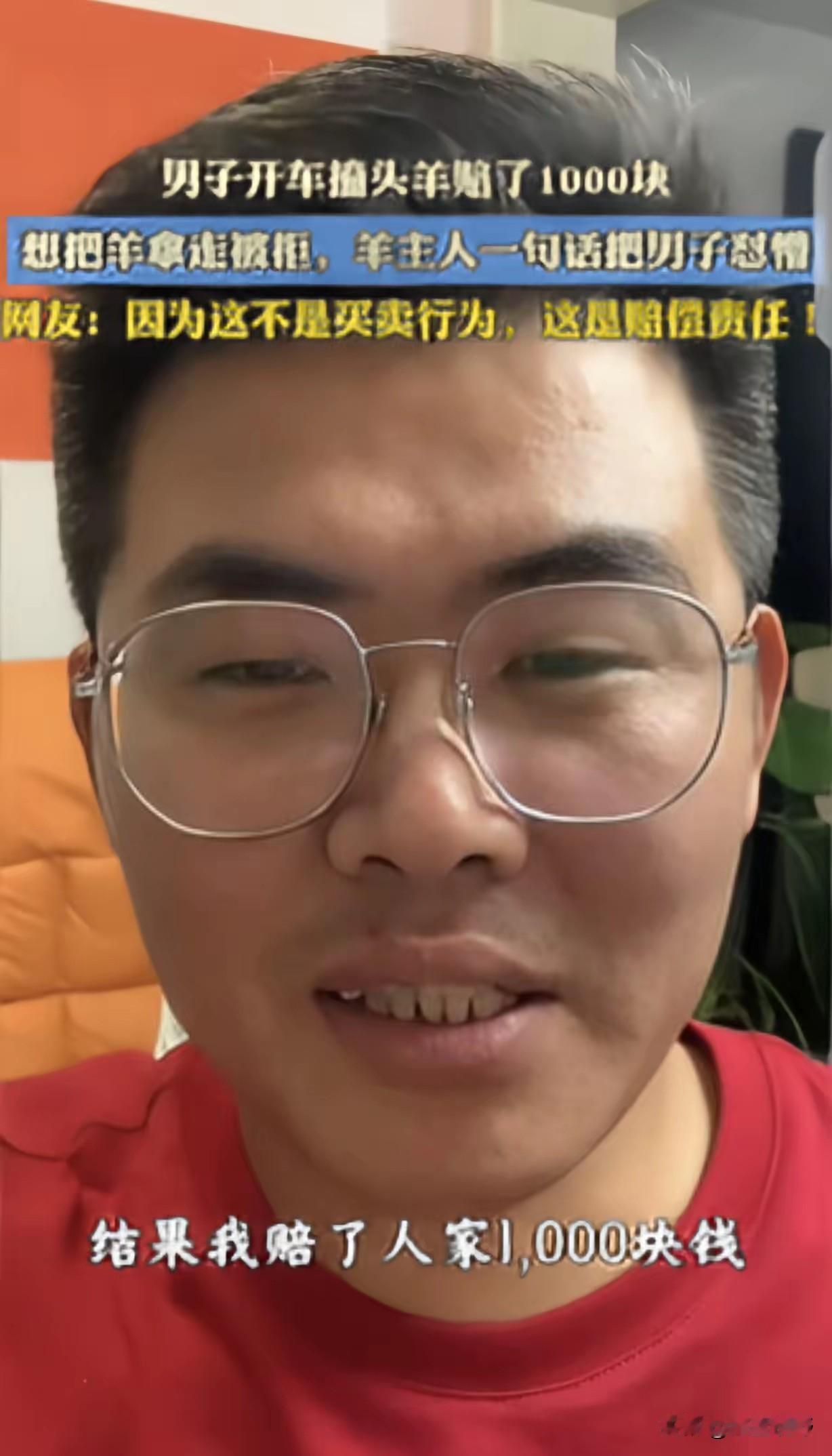 “破防了！”一男子开车，撞死一只头羊，赔了牧民1000元，他想把死羊拿走，牧民却