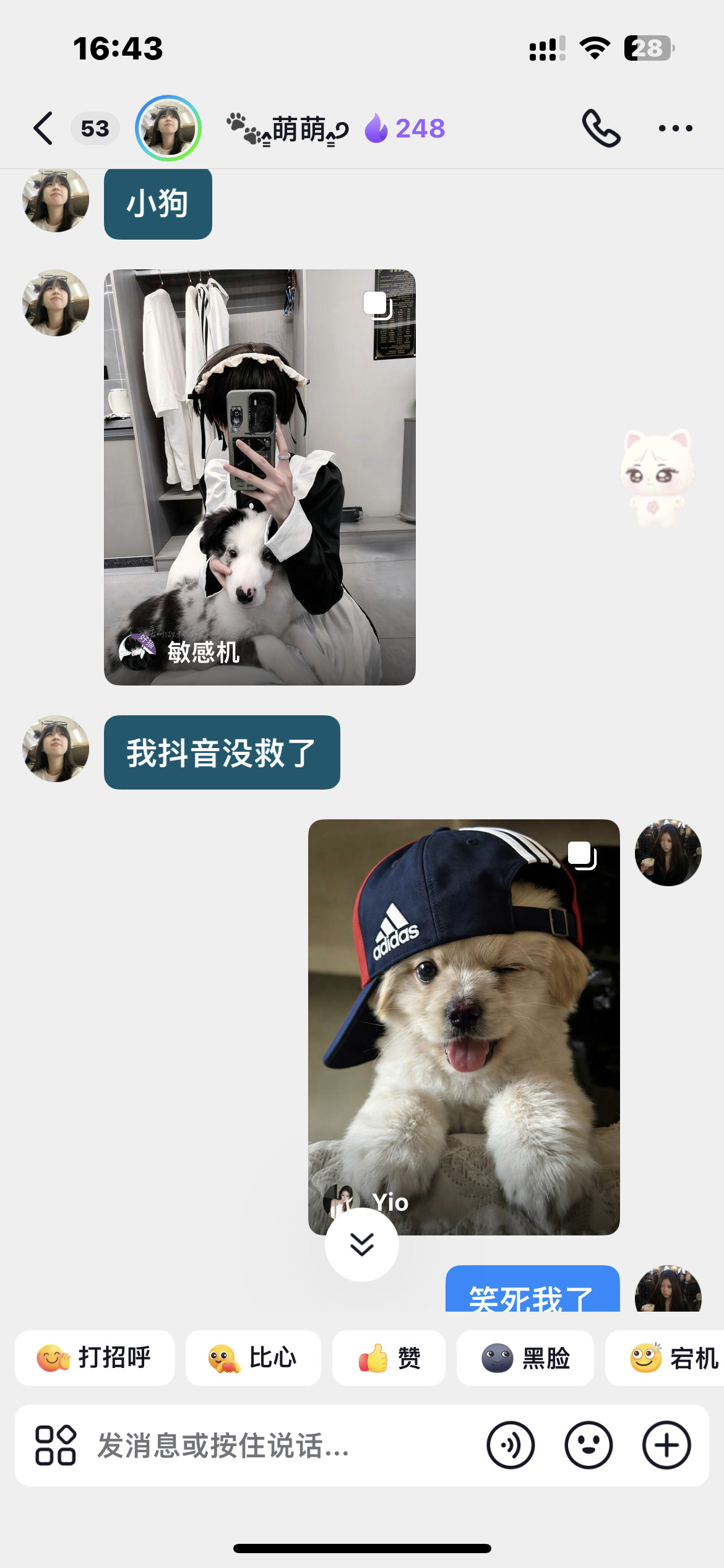 笑发财了