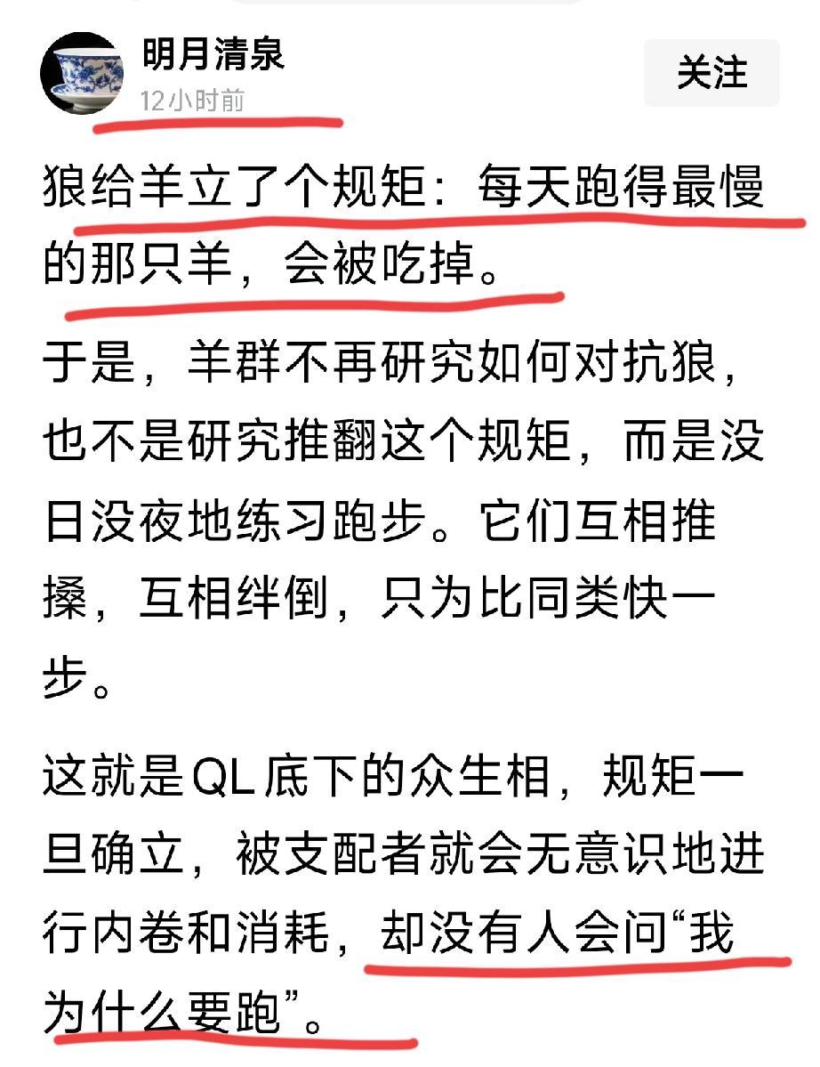 说的不会就是打工的我吧！​​​