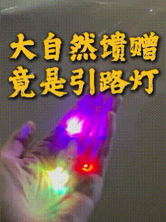 “这不得上热搜！”内蒙古，一位独自摩旅的女孩蹲在路边捡彩灯，路人看着都纳闷，这是