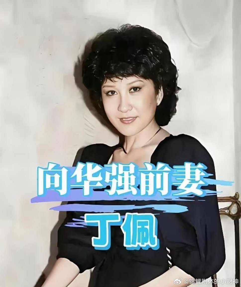 向太把丈夫前妻丁佩每月5000抚养费，涨到10万。好奇查了丁佩，发现她居然有3次