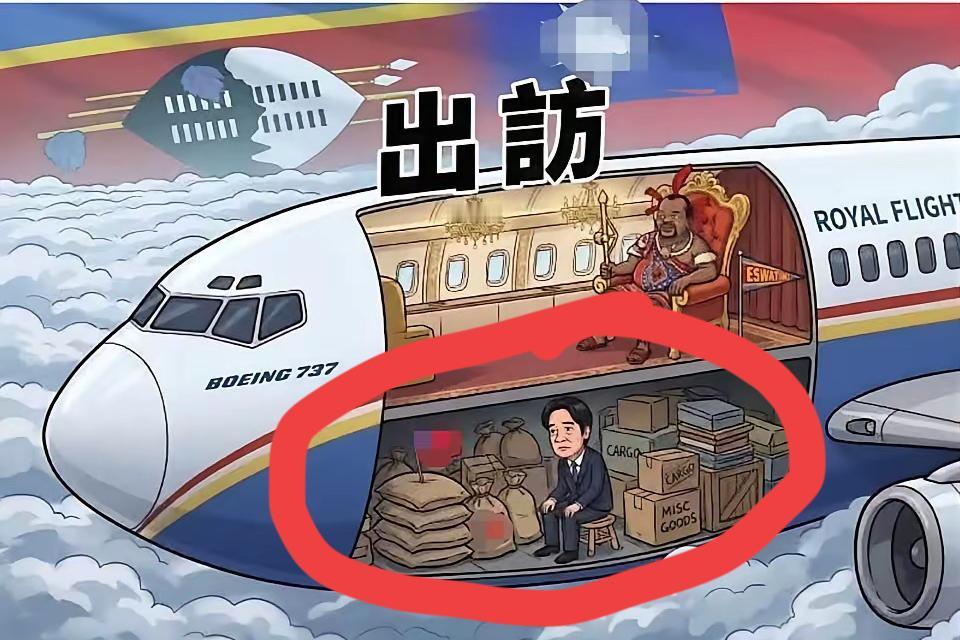 高度怀疑：赖清德是坐斯威士兰专机的货舱实施偷渡的。从以下照片可以看出端倪，西服