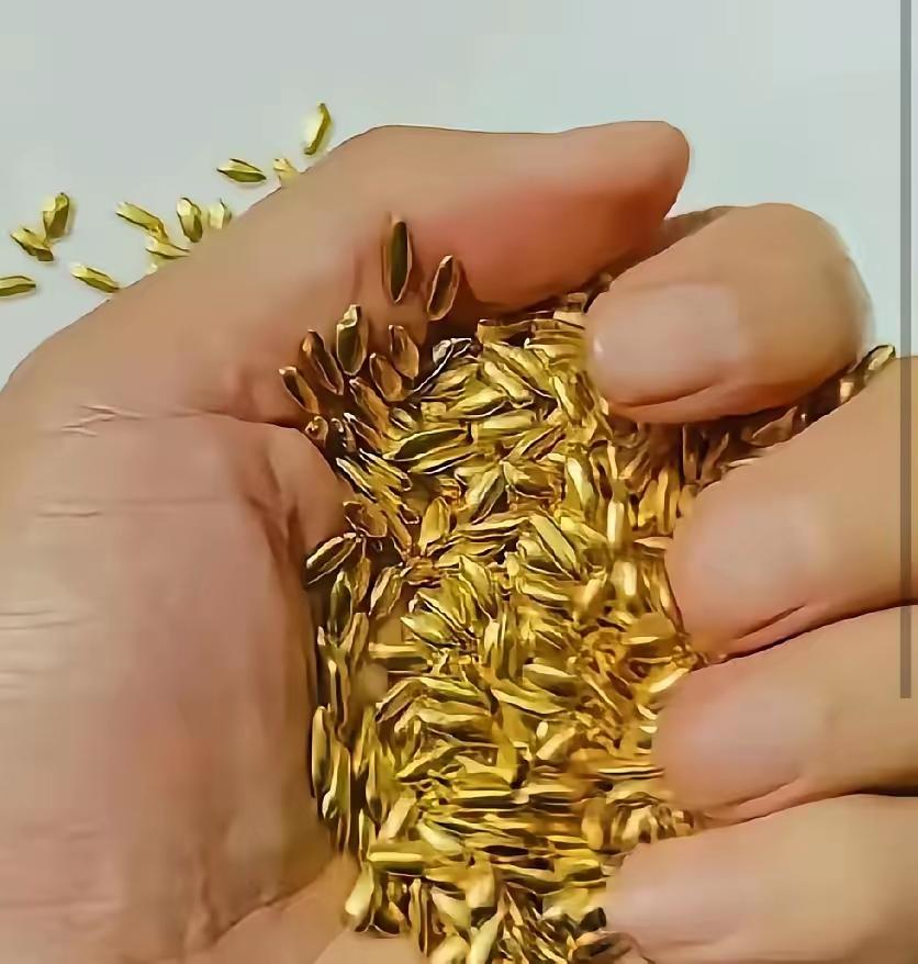 还是吃的太饱了！北京，一艺术家用500克黄金做出了1000粒的黄金大米，混