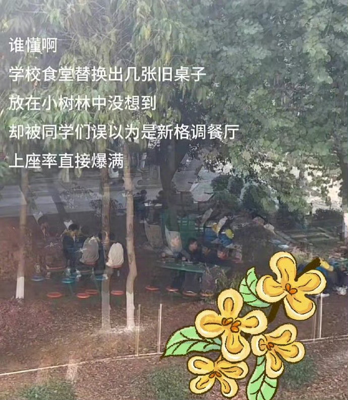 像是大学生干出来的事