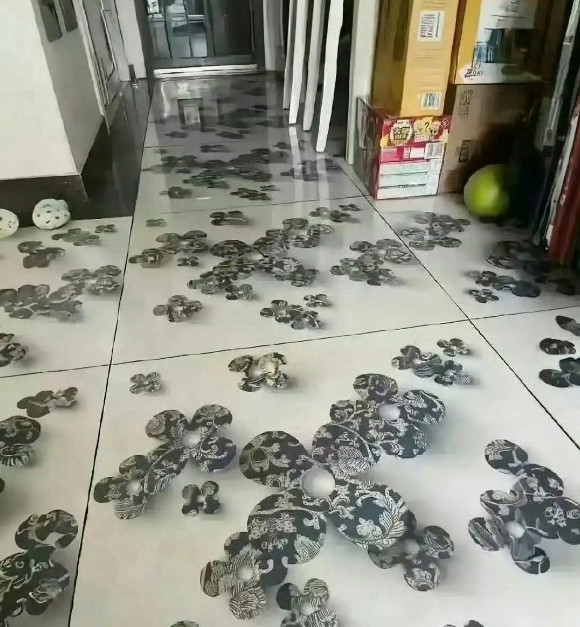 媳妇非要选这个地板，这好看吗？
