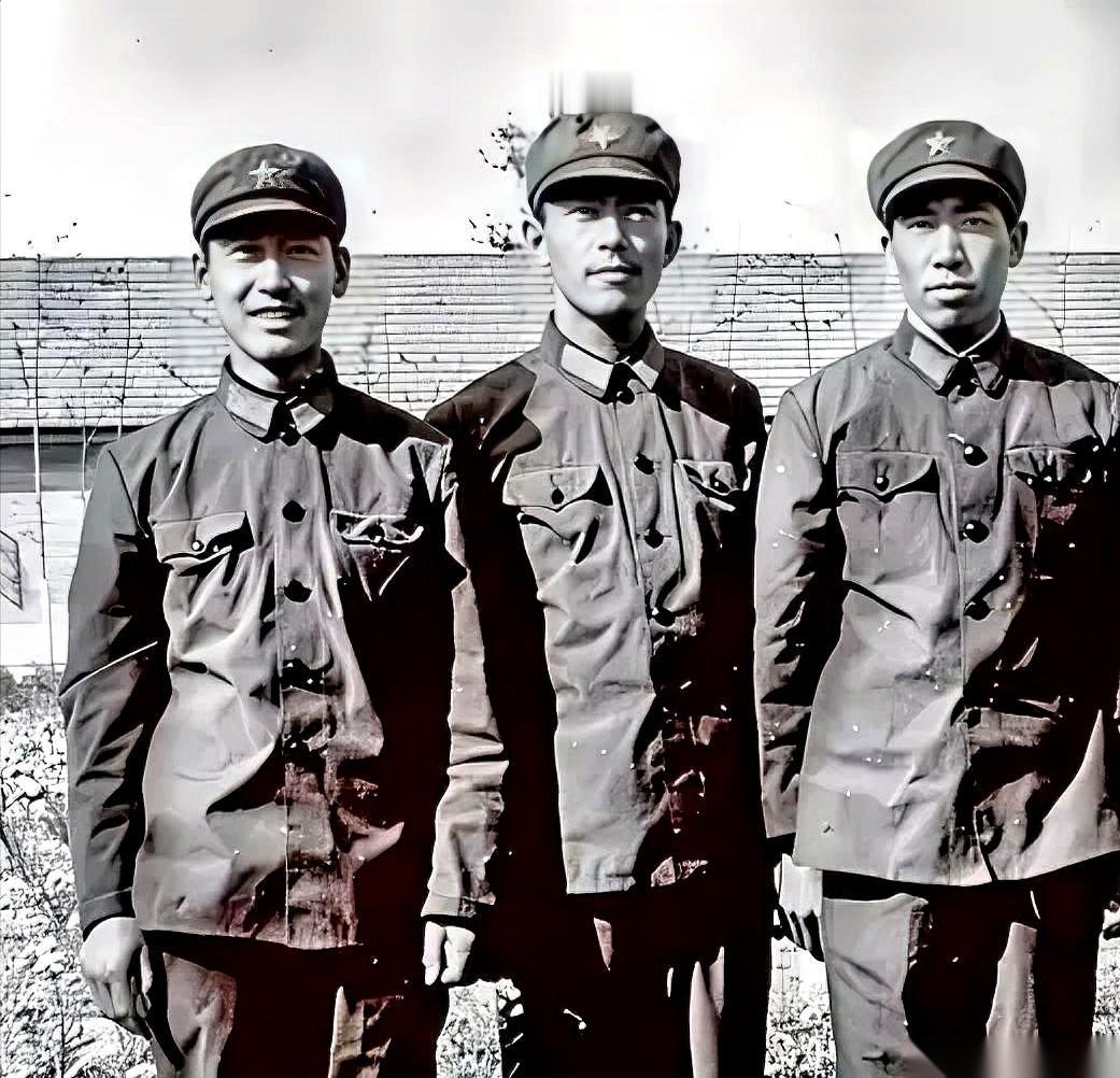 你正弯着腰，在自家地里种麦子呢，一个穿四个兜军装的干部，跨过田埂，径直走到你跟前