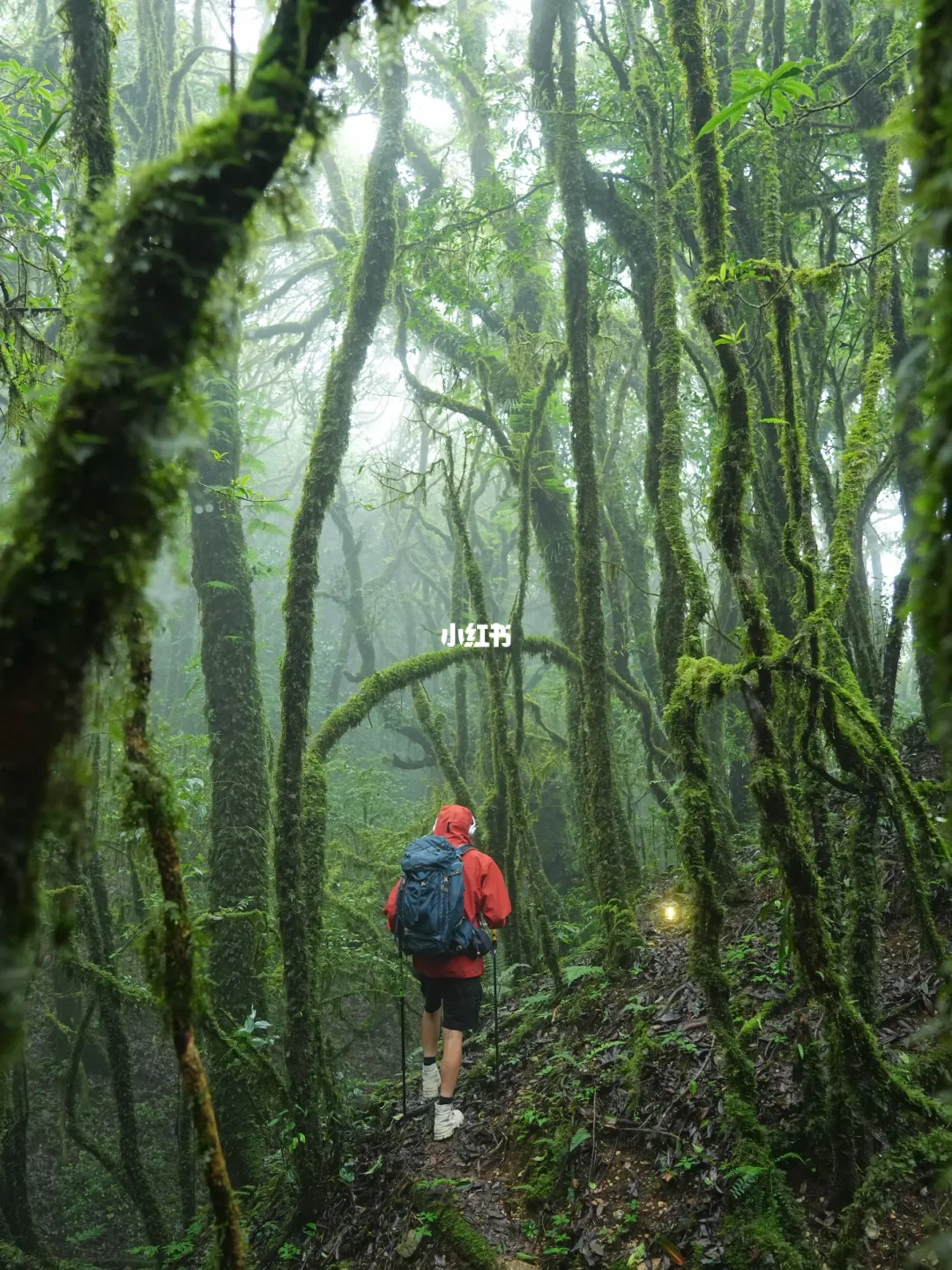 被《国家地理》评为“云南最后的秘境”太美了！