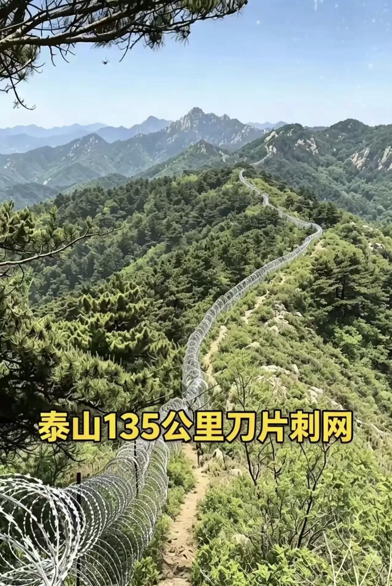 骑虎难下！泰山2500万防护工程连夜拆除，最大的尴尬藏不住了现在尴尬了！如