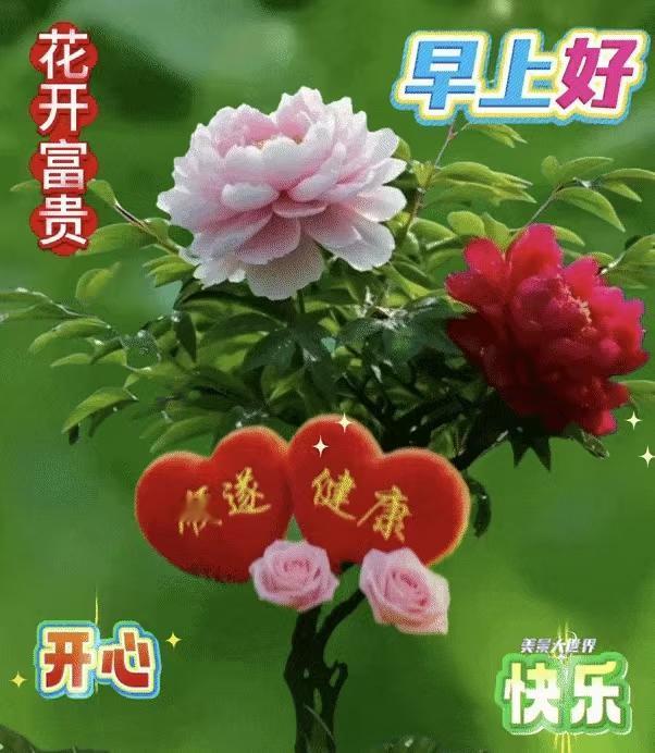 美麗的四句話送給你：仁愛養福，真誠養友；善良養德，知足養壽。願您養好身體多