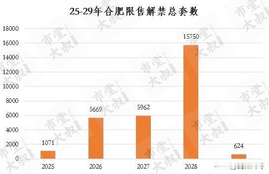 合肥25-29年限售房源总套数29076户～1、26年限售解禁5600多套、