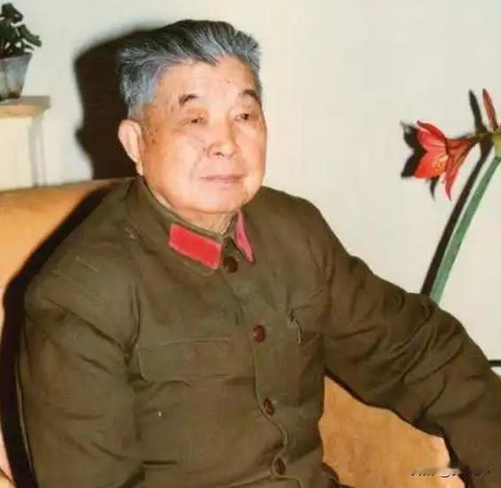 1953年，西康军区司令员刘忠，得知母亲和原配还在世，便携现任妻子回乡，当他看到