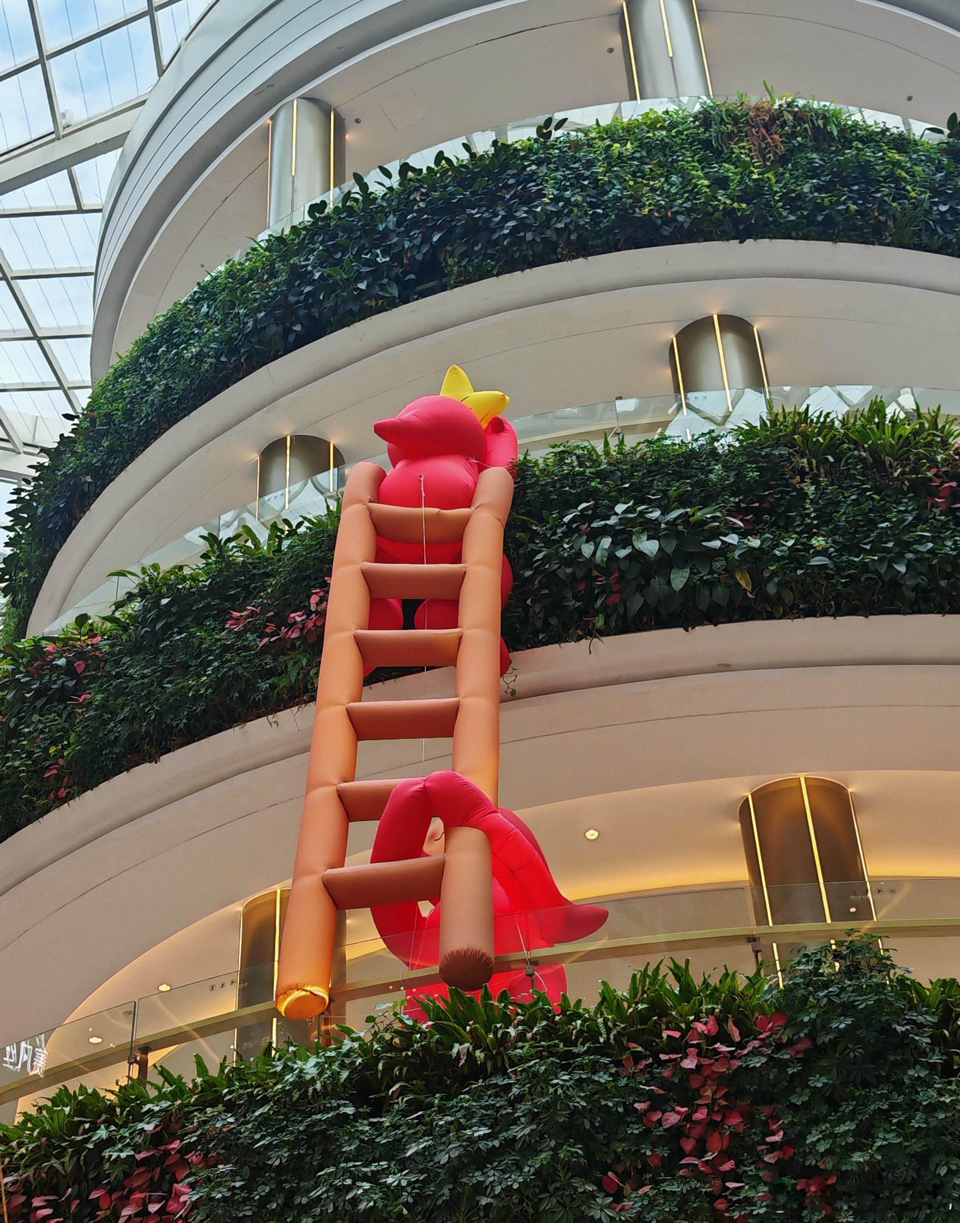 找到了一把标准红梯，大门口，堂堂正正挂起来