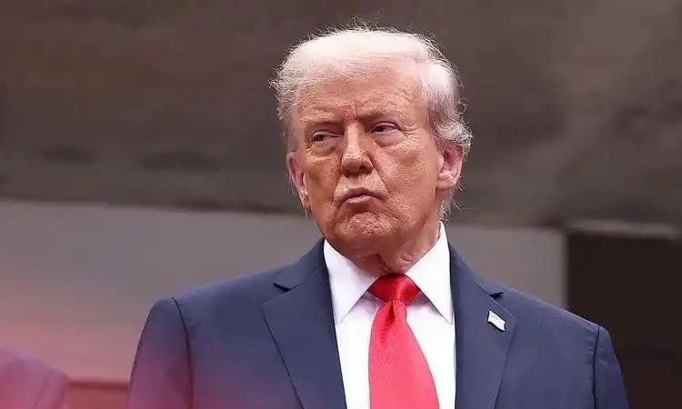 .印度人不断生孩子，然后往加拿大和美国移民，抢工作、抢资源、抢选票，而美国科技圈