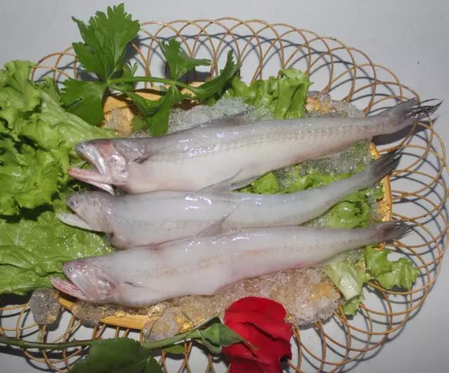 糯米妈妈 宝宝辅食吃鱼讲究多