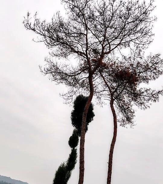 话说今年钱有多难挣。刚才老公的哥哥打电话，聊了会，老公哥哥现在一家三口在家闲着
