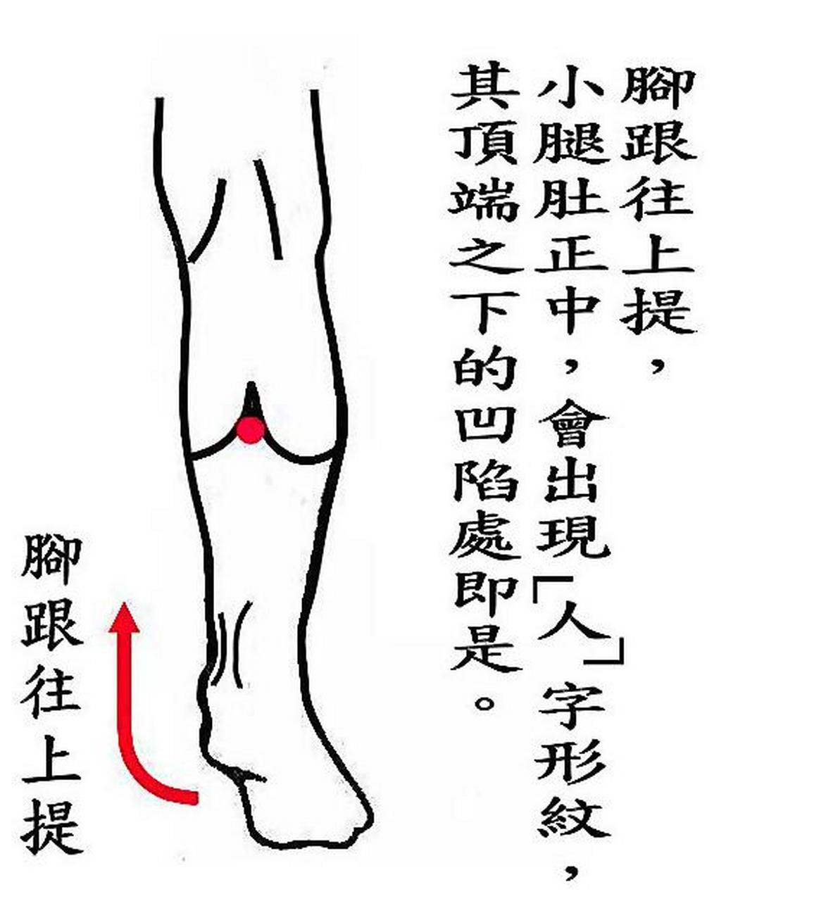 【拍打这里49下，全身湿气都排空！】湿气是什么？湿气是风、寒、暑、湿、燥、火六种