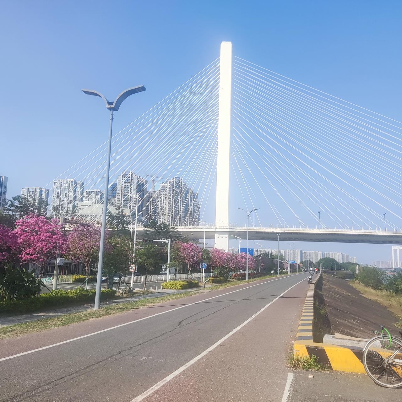 不要成了造粪机器现在看到许多年轻人小小年纪就躺平，让我不时的回想起我上高中时一