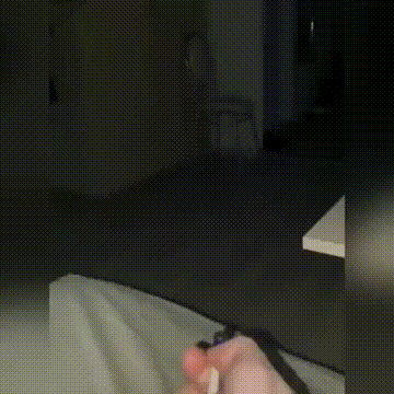 养猫千日就是为了这一刻