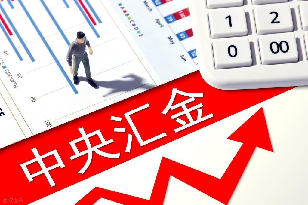 重磅出手 中央汇金金融版图扩至24家 万亿级“平准基金”雏形显现?