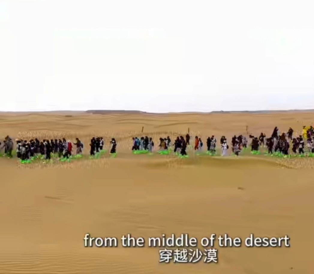 海外网友说只有中国在让世界变美好穿越黄沙，遇见绿洲。海外网友被蚂蚁森林震撼：在全