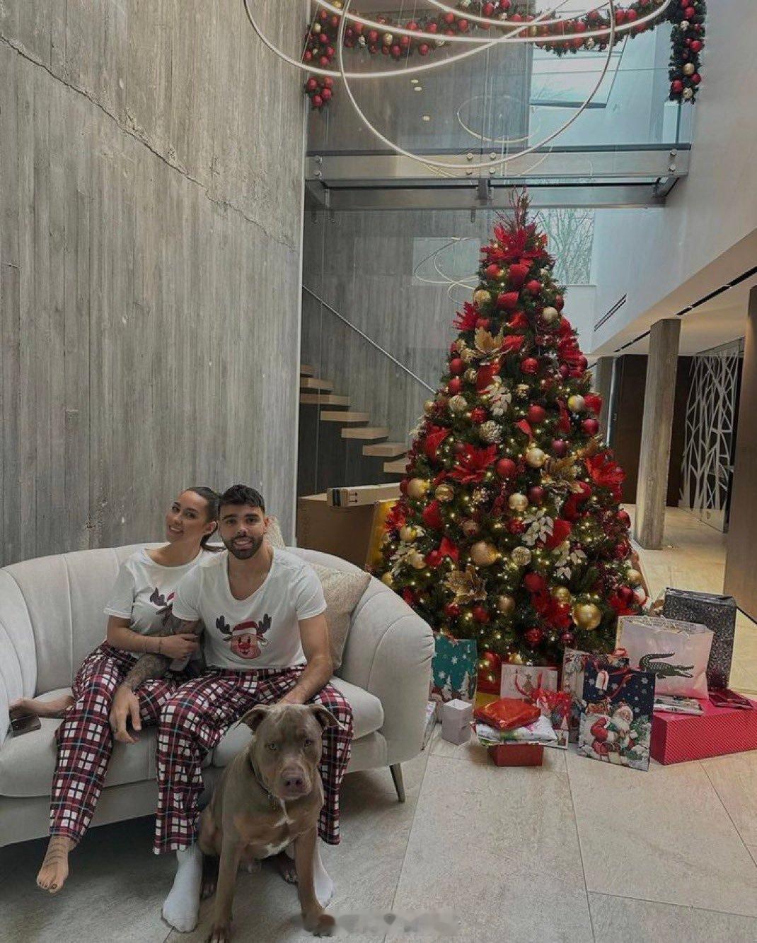 枪手们家里养狗的真不少枪手动态阿森纳