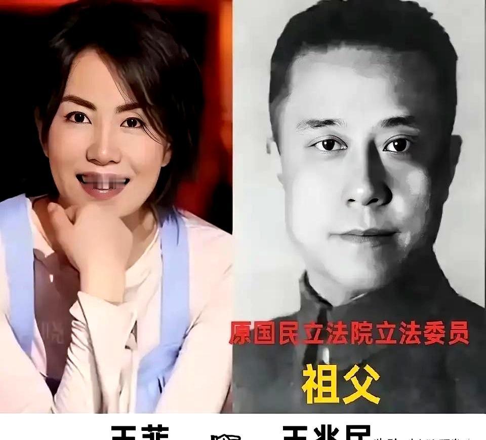 看到这几位“硬骨头”，真要把手里那杯温吞的茶给惊洒了。明明生在罗马，非要跑回起