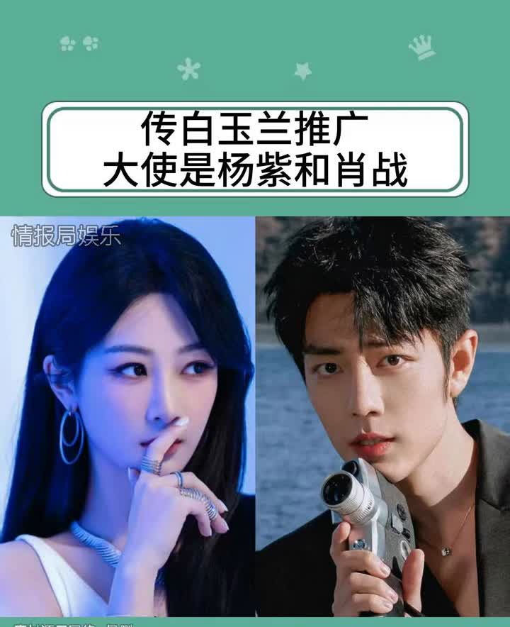传白玉兰推广大使是杨紫和肖战。情报局娱乐。传今年第30届白玉兰推广大使是