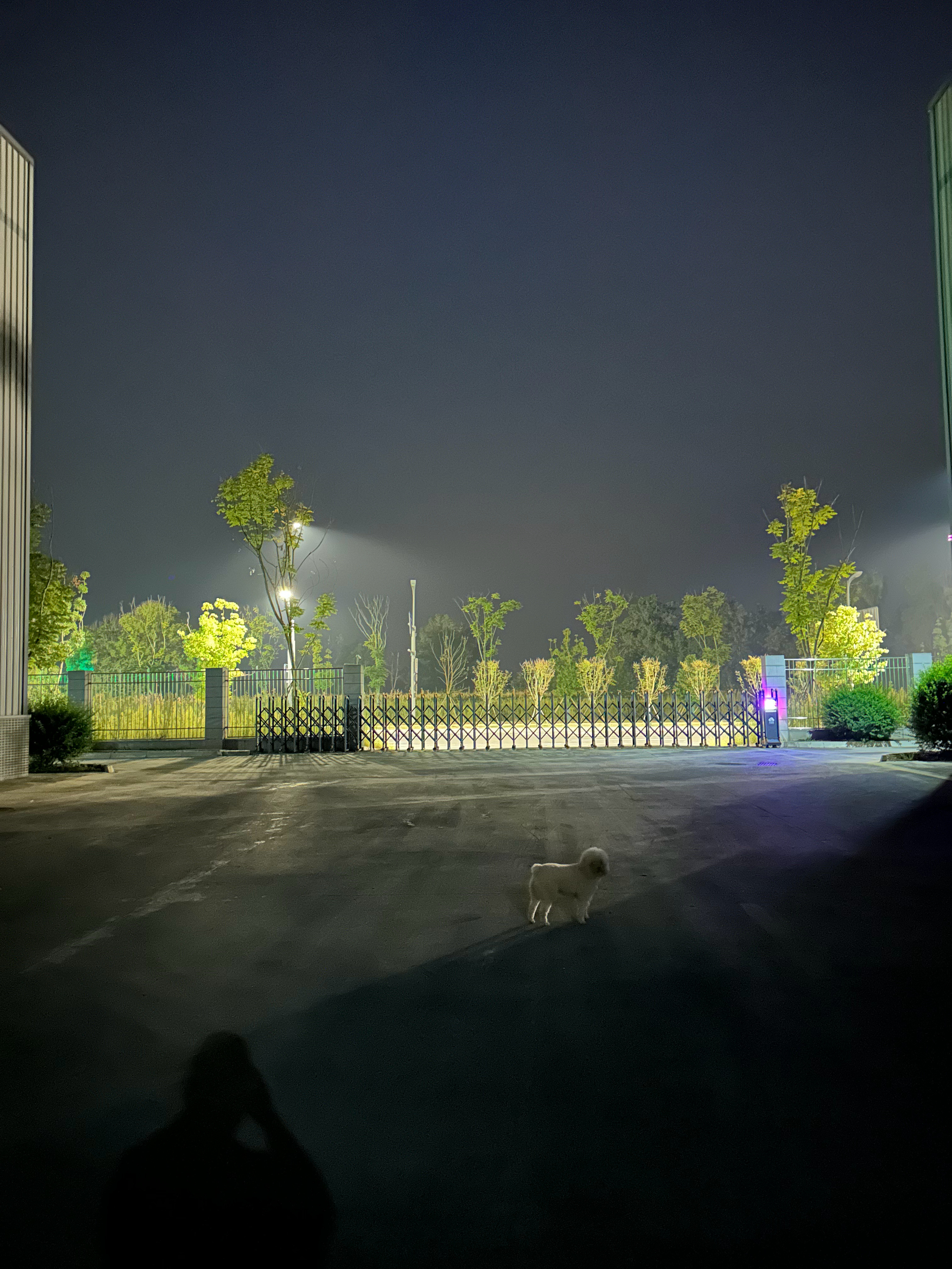 晨跑六公里，拉伸加减脂操，爽！​​​