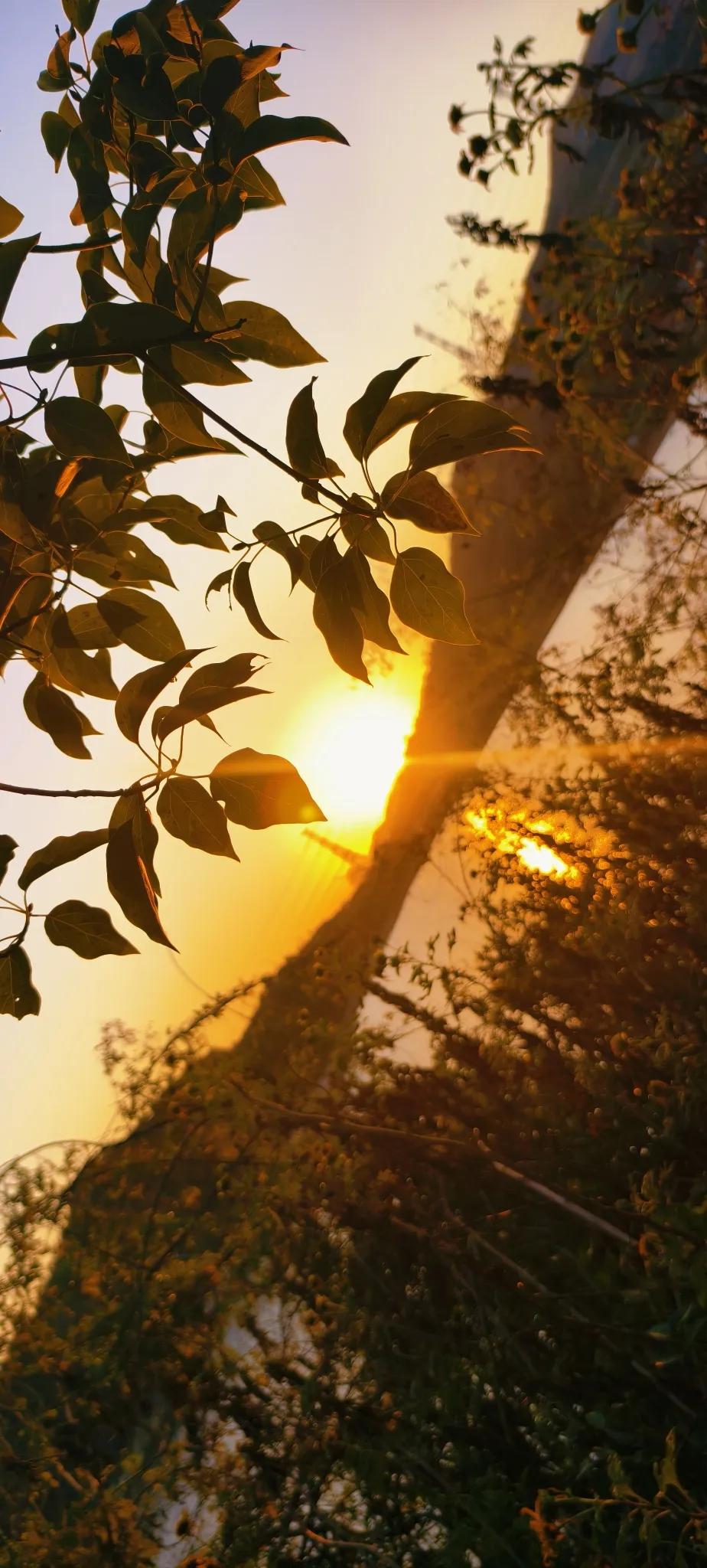 人心中善念的萌生往往就在一瞬间。我小时候就经历过三次这样的事。一次，我去小河边