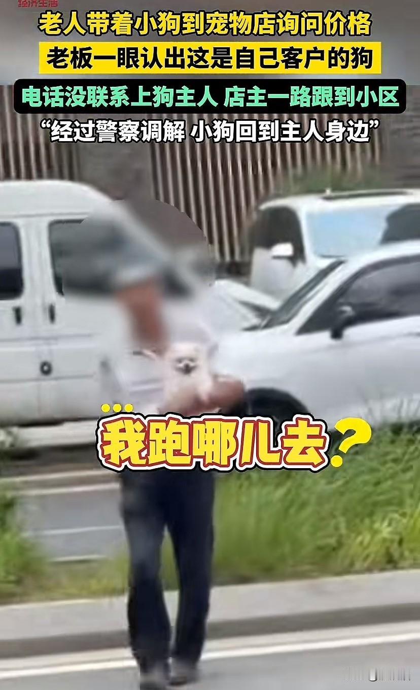 江苏南京，老人带着小狗到宠物店询问价格，老板一眼认出这是自己客户的狗。老板打电话