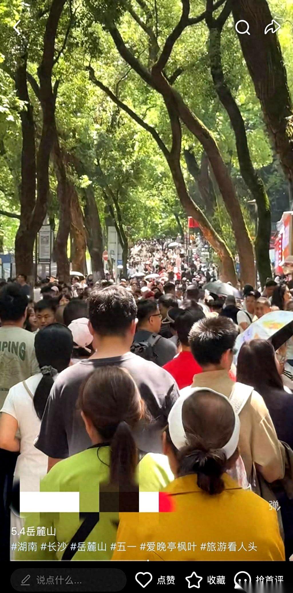 五一这盘账扒开一看，头等大赢家，根本不是那些赚翻了的景区和酒店。有人机票翻三倍