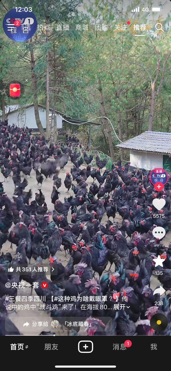 感觉整个抖音的文旅和官号都在发吃鸡其实就是过年“上补鸡”推荐各种美食而已！随橙