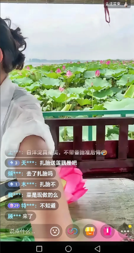 自游客轮胎在白洋淀游船码头被扎事件曝光之后，这两天，白洋淀旅游行业的日子不好过了