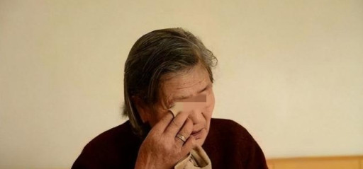 河南郑州，七旬老人20多年前给一同学借了82300元，对方迟迟不还，老人诉至法院