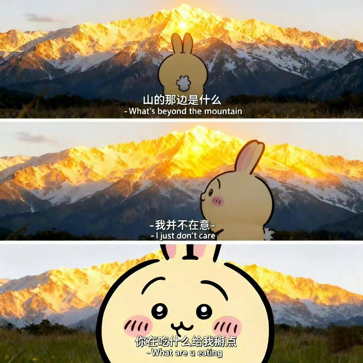 我和黄鲸鱼的差别：​​​