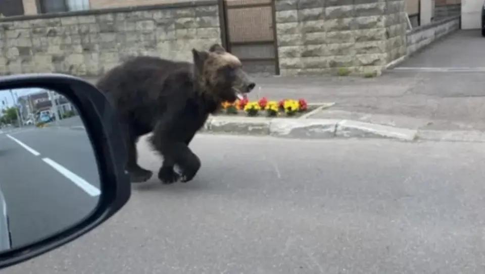 美国等多国突然发布日本旅游警告，这时机怎么就这么巧？据美国有线电视新闻网（CN