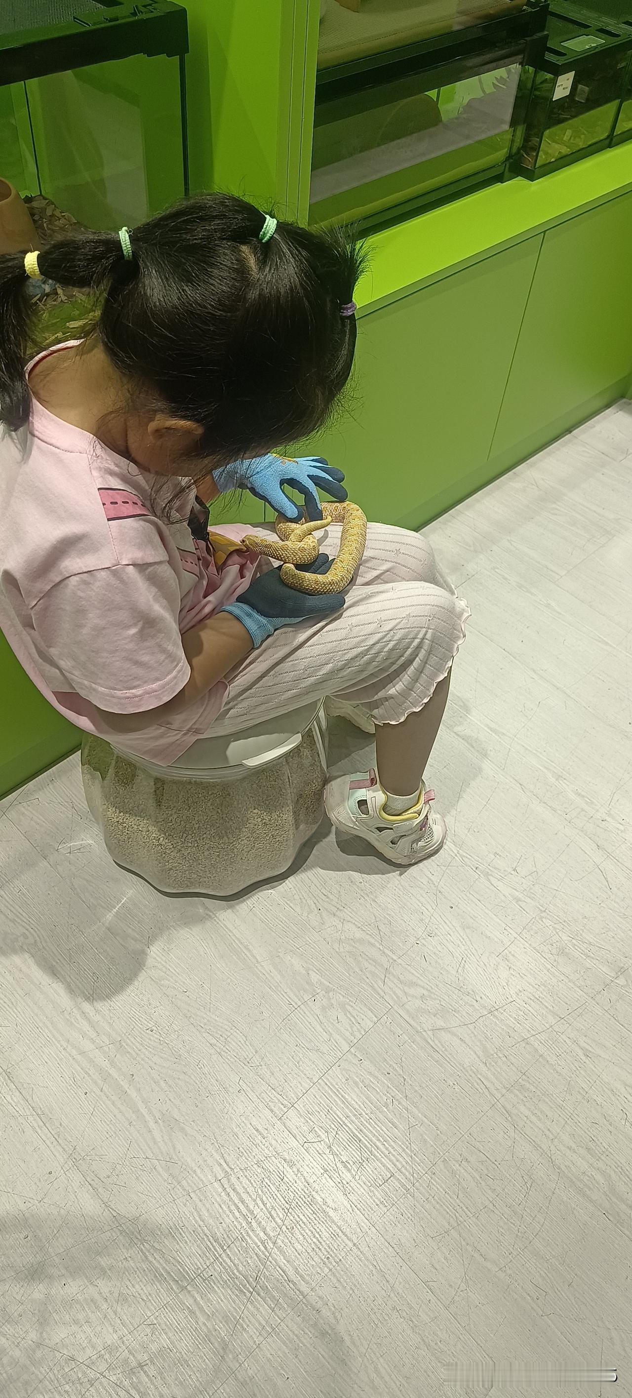 在顺义的华联看到了这么一个我们那个小县城没有的产业。就是小宠物把玩喂养小乐园。