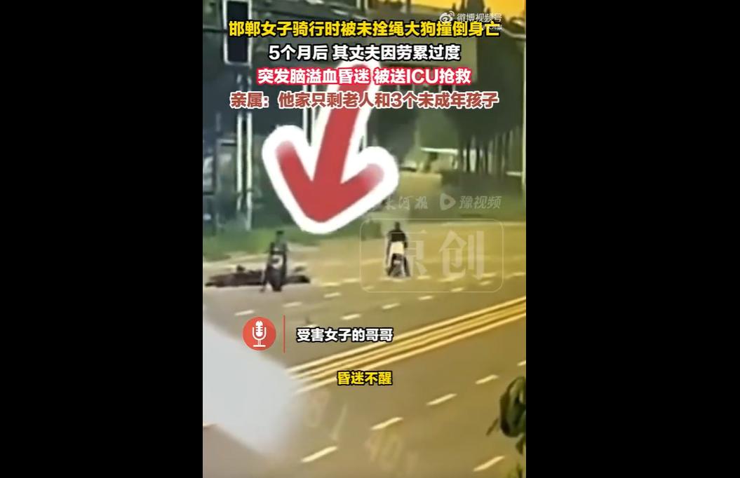 河北邯郸张女士骑电动车遭未拴绳马犬撞击身亡，狗主人石某杀犬毁证。其丈夫冯先生维