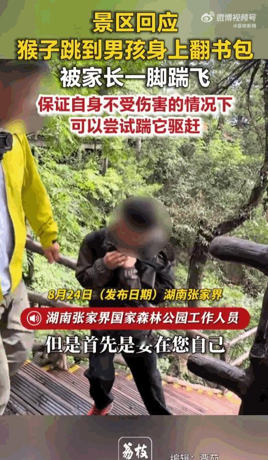 人不犯我我不犯人！湖南张家界国家森林公园里，一小男孩正跟着家人往前走，谁承想一只