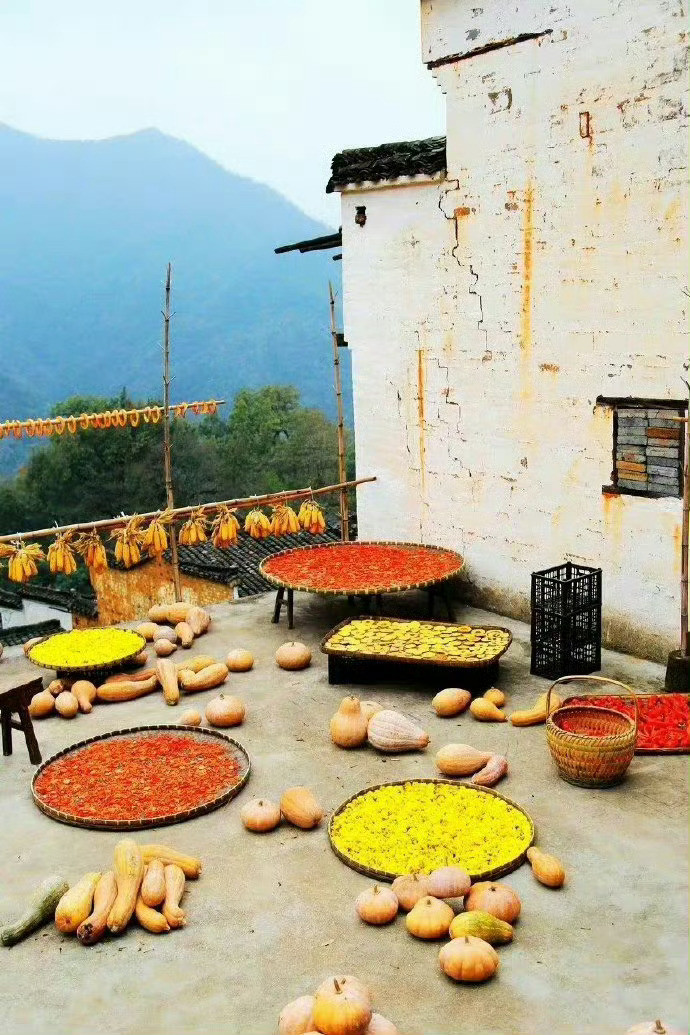 婺源晒秋，成了秋天一道独特的风景。​​​​